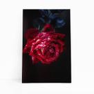 Quadro Rosa Vermelha com Orvalho Fotografia Canvas 60x40cm Quadro Rosa Vermelha com Orvalho Fotografia Canvas 60x40cm