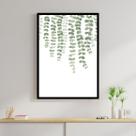 Quadro Samambaia - Plantas 33x24cm - com vidro