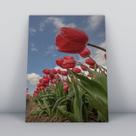 Quadro sem moldura Primavera 17