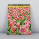 Quadro sem moldura Primavera 18