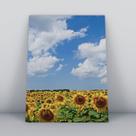 Quadro sem moldura Primavera 19