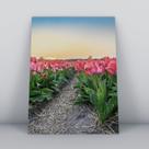 Quadro sem moldura Primavera 20