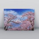 Quadro sem moldura Primavera 35