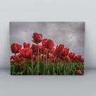 Quadro sem moldura Primavera 37