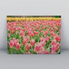 Quadro sem moldura Primavera 40