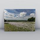 Quadro sem moldura Primavera 41
