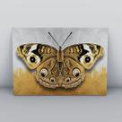 Quadro sem moldurapassaro dourado Quadro sem moldurapassaro dourado