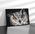 Quadro Tecido Canvas Coruja Ave Rapina Noite 60x40 cm