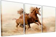 Quadro Tela Canvas Animais Cavalos Salas Decorações Interior Quadro Tela Canvas Animais Cavalos Salas Decorações Interior