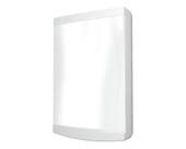 Quadro Tigre 12/16 Disj Sob S/Bar Br