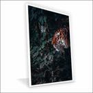 Quadro Tigre Canvas Sem Vidro