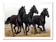 Quadro Três Cavalos Pretos Cavalgando 30x42cm Quadro Três Cavalos Pretos Cavalgando 30x42cm