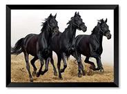 Quadro Três Cavalos Pretos Cavalgando 30x42cm Quadro Três Cavalos Pretos Cavalgando 30x42cm