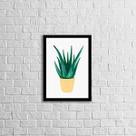 Quadro Vaso Espada de São Jorge 24x18cm