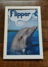 Quadro Vintage Flipper Quadro Vintage Flipper