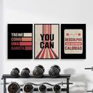 Quadros Academia Exercício Funcional Motivação Treino 3 Peças 28x40cm