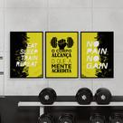 Quadros Academia Musculação Fitness Exercício Funcional 3 Peças 28x40cm