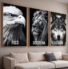 Quadros com Moldura e Acrilico Cristal Foco Disciplina Execucao Kit 3 Quadros para Sala, Quarto ou Escritório
