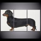 Quadros Decorativos 3 Peças Cão Cachorro Salsicha