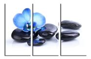 Quadros Decorativos 3 Peças Spa Orguidea Azul Pedras Quadros Decorativos 3 Peças Spa Orguidea Azul Pedras