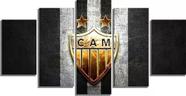 Quadros Decorativos Atlético Mineiro Galo Futebol Bicampeão