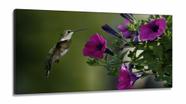Quadros Decorativos Beija Flor em Tecido Canvas 130x60 Quadros Decorativos Beija Flor em Tecido Canvas 130x60