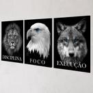 Quadros Decorativos Disciplina Leão Águia Lobo 120x60cm Quadros Decorativos Disciplina Leão Águia Lobo 120x60cm