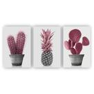 Quadros Decorativos Floral Cacto Rosa tam instalado 60x30cm