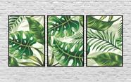 Quadros Decorativos Folhagem Costela De Adão Folhas Verdes Para Sala Quarto Recepção Escritório