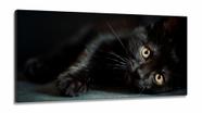 Quadros Decorativos Gato Preto em Tecido Canvas 130x60