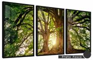 Quadros Decorativos Kit 3 Moldura e Vidro Árvore Frondosa