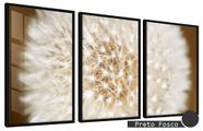 Quadros Decorativos Kit 3 Moldura e Vidro Dente Leão Amplo