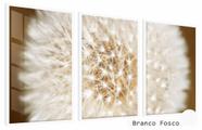Quadros Decorativos Kit 3 Moldura e Vidro Dente Leão Amplo