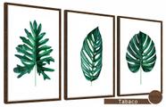 Quadros Decorativos Kit 3 Moldura e Vidro Folhas Verdes Belo