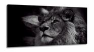 Quadros Decorativos Leão Preto E Branco em Tecido Canvas 130x60 Quadros Decorativos Leão Preto E Branco em Tecido Canvas 130x60