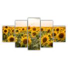 Quadros Decorativos MDF Floral Campo de Girassóis
