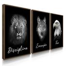 Quadros Decorativos Motivacional Leão Lobo