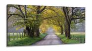 Quadros Decorativos Natureza Paisagem Arvores Sala em Tecido Canvas 130x60
