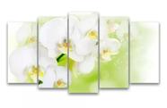 Quadros Decorativos Orquídea Branca" Quadros Decorativos Orquídea Branca"