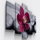 Quadros Decorativos Orquidea Flor Botanico Sala Copa Quadros Decorativos Orquidea Flor Botanico Sala Copa