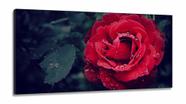 Quadros Decorativos Rosa Vermelho Botanico Sala Quarto em tecido canvas 130x60