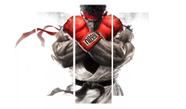 quadros decorativos Ryu Street Fighter" quadros decorativos Ryu Street Fighter"