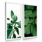 Quadros Decorativos Sala Cozinha Dupla Botanico Flores Flor Quadros Decorativos Sala Cozinha Dupla Botanico Flores Flor