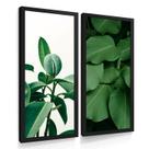 Quadros Decorativos Sala Cozinha Dupla Botanico Flores Flor Quadros Decorativos Sala Cozinha Dupla Botanico Flores Flor