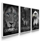 Quadros Decorativos Sala Disciplina Execução Foco Leão Grande Com Vidros