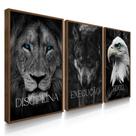 Quadros Decorativos Sala Disciplina Execução Foco Leão Grande Com Vidros Quadros Decorativos Sala Disciplina Execução Foco Leão Grande Com Vidros