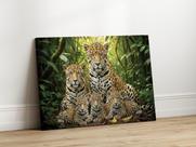Quadros Decorativos Sala Familia Onca 3 Filhotes 120x75 Linha Premium Tela Impressa nas laterais