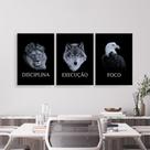 Quadros Leão Aguia Lobo Foco Motivação Kit 3 Peças 28X40CM