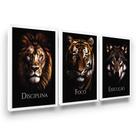 Quadros Leão Tigre Lobo Visão Empresarial Escritório