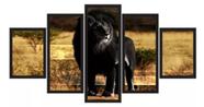 Quadros Para Sala Leão Negro Em Selva"